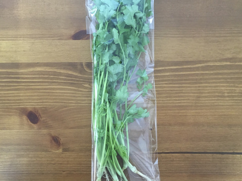 ผ กช 根付きパクチー 500g 農薬 化学肥料不使用 千葉県産 食べチョク 農家 漁師の産直ネット通販 旬の食材を生産者直送
