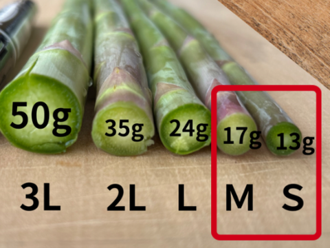 ＼ＳＭ混合1.8kg／無菌の自噴水と寒暖差で育てた『春芽アスパラガス』伊万里産