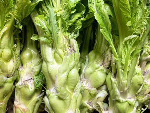 【旬を楽しむ♪】おまかせお野菜セットB（約15品以上）通年お野菜を作り続けるタガタメはいつでも注文可能！！