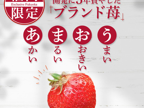 【冷凍いちご】あまおう いちご たっぷり5㎏