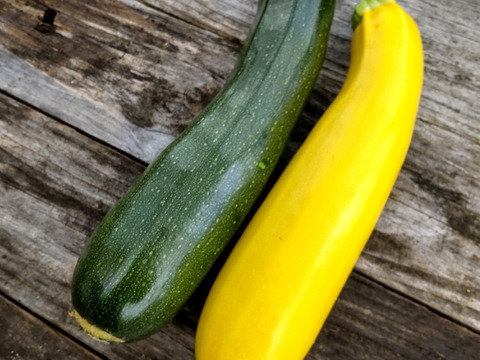 【自然栽培】ズッキーニ＋きゅうり 固定種セット 4kg以上★農薬・肥料不使用