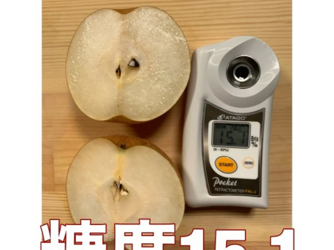 好評につき令和7分の予約！１５６箱限定！大豊作願ってめっちゃ小さい梨　豊水梨　3ｋｇ　訳あり