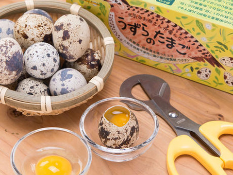 濃厚なのに後味すっきり！うずらの生卵120個＋から割ハサミ×3