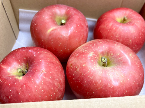 【りんご食べ比べセット】トキ やたか りんご 3kg 採れたて直送 リンゴ 美味しい ギフト 家庭用 美味しいりんご おすすめ 果実 フルーツ ツガル お取り寄せフルーツ お試し 青リンゴ 黄色りんご