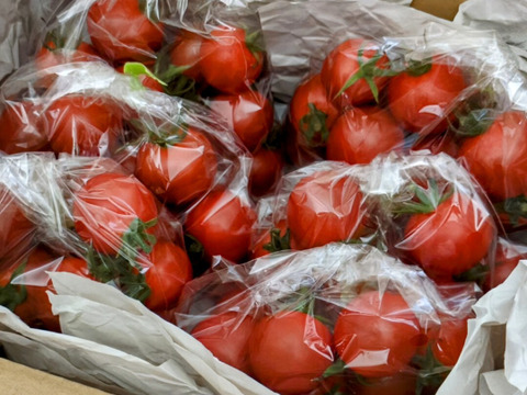 青森県産 ミニトマト ほれまる 200g