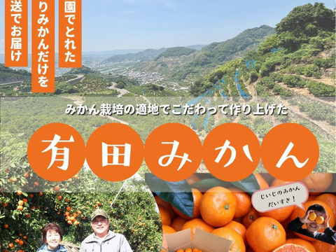 農家直送！しらぬい　2.5kg  【平武農園】〜蛍飛ぶ町から旬の便り〜　和歌山｜有田｜田口｜ギフト