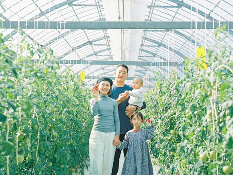 むぎゅっとがっしり！！平均糖度8度以上！個性派！濃旨フルーツトマト（箱入り・約1kg)