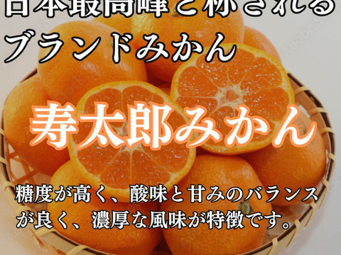 糖度10度以上！青秀約2.5キロ箱込み 寿太郎みかん みかん 西浦みかん