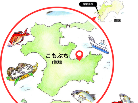 “ブリ＆ヒラマサの良い所取り！”養殖ブリヒラ1尾/箱