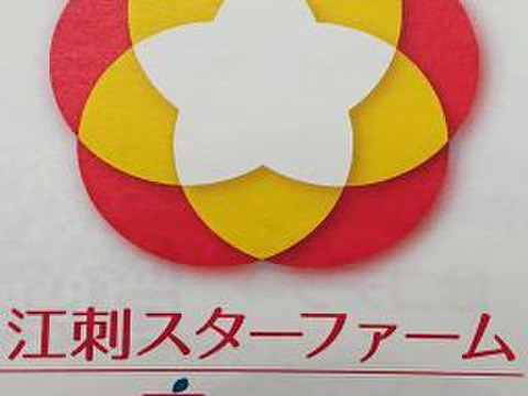 岩手江刺産さつま芋【紅はるか】小粒：傷あり４㎏