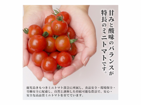 NEW!!ミニトマト&ドレッシング(2本)セット