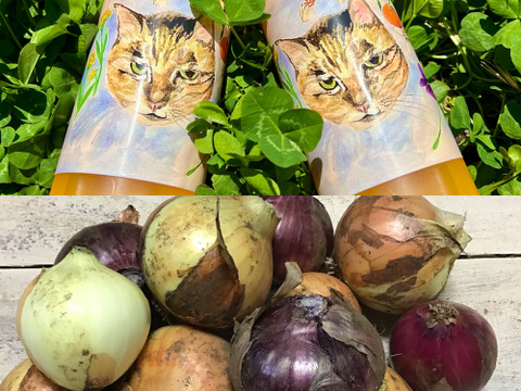 お得なセット！【農薬不使用】玉ねぎ1kg&青島みかんジュースセット