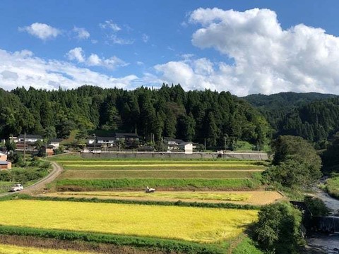 【2021年産】特別栽培米コシヒカリ(白米)１０kg