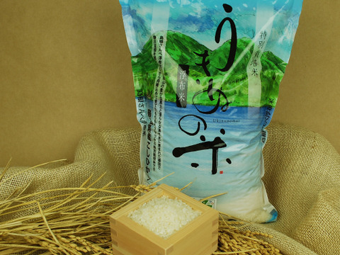 特別栽培米コシヒカリ「うきぬの米」無洗米５㎏【新米R5年産】