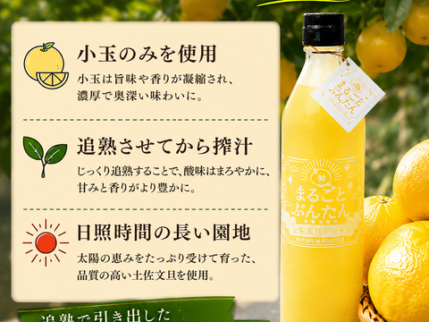 モンドセレクション金賞受賞 土佐文旦8玉分使用 土佐文旦シロップ 360ml