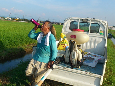 おかずのいらないコシヒカリ「つばめ返し」