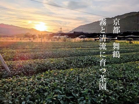 舞鶴抹茶｜一番茶・石臼挽き 【40g】