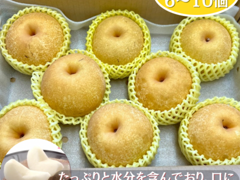 梨 3キロ 6個から11個入り 甘さあふれる旬 梨 南水 梨 秋感じる一品 冷蔵 フルーツ 果実 家庭 新高 豊水 秋泉 敬老の日 プレゼント 誕生日 お取り寄せグルメ おすすめフルーツ 和梨 訳あり