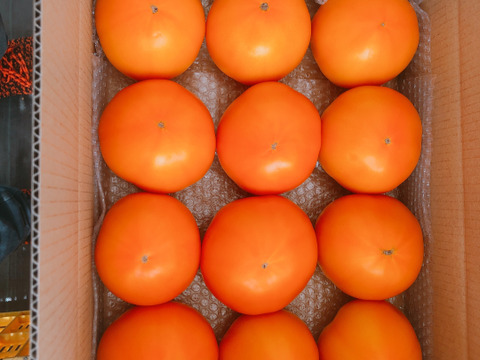 桃太郎ゴールド トマト 2.8キロ詰