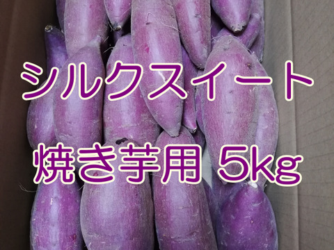 【焼き芋用】 里山ファームのシルクスイート ５ｋｇ Sサイズ Mサイズ