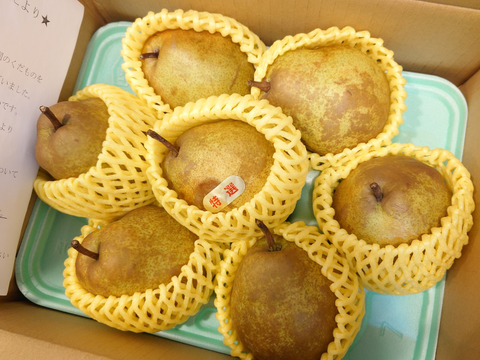 農薬節減!! [特秀]こだわりラフランス 山形県 2kg 6〜7玉 ギフトにも　[冬ギフト]