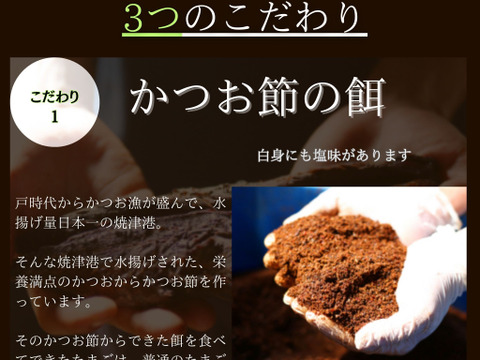 とろ～りコク旨！静岡の自然の恵みがギュッと詰まった新鮮たまご『富士の名月』【10個入×2PC】