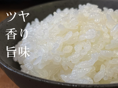 【令和6年】特別エシカル米　石川県産コシヒカリ（白米）5kg