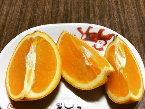 【農薬不使用】国産バレンシアオレンジ2キロ