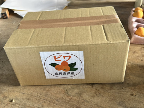 ビワ（ご家庭用）約1kg