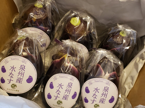 【新鮮】生でも食べれる！泉州産水なす(生)