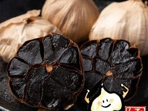 ご挨拶代わりのプチギフトに！国産黒にんにく１球入り　40袋セット