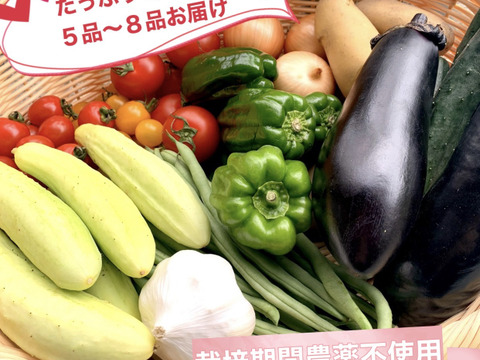 【夏ギフト】★旬の野菜セット（５品目～８品目）段ボールいっぱいお届け８０サイズ