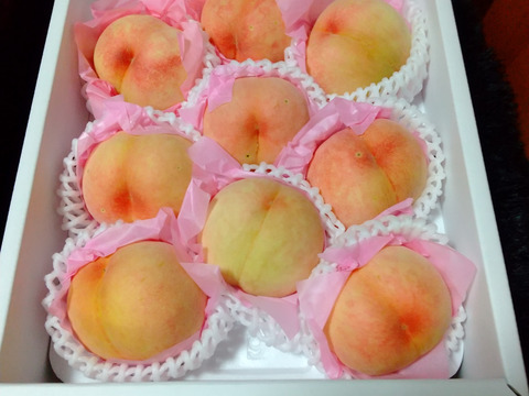 樹上完熟！岡山県備前市産びぜん白桃【加納岩白桃・紅清水白桃・末木白桃の３種のうち１種】約2kg