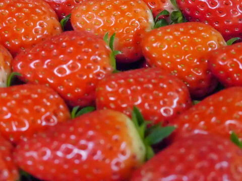 甘くてたまらん！！旬のイチゴセット(2パック)