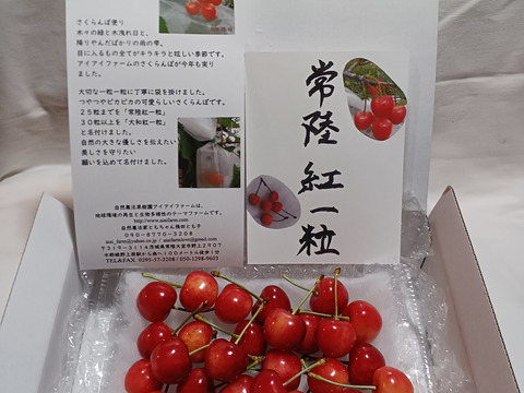 下　自然栽培のさくらんぼ１５粒　品種おまかせ　60サイズクール便