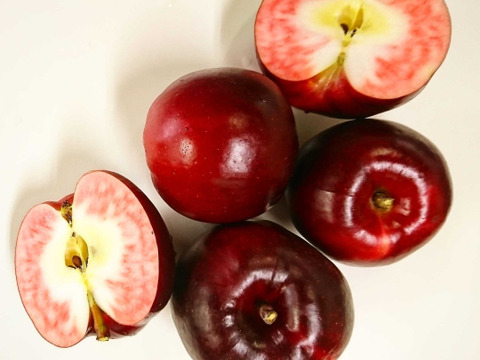 果肉の赤い加工用りんご🍎紅の夢🍎4.5㎏