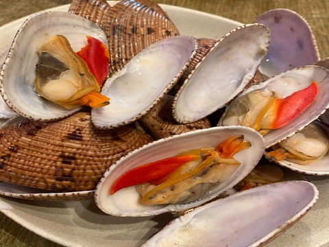 活　スダレ ガイ　2ｋｇ