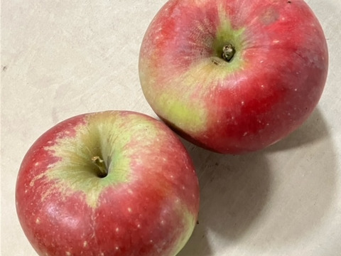 りんご アニーエリザベス (キズ有B品2㎏)