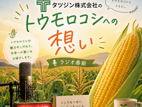 独自開発した比重選別した『すぐ食べ朝採り』トウモロコシ3〜5本【5月中旬から早期発送】※限定生産