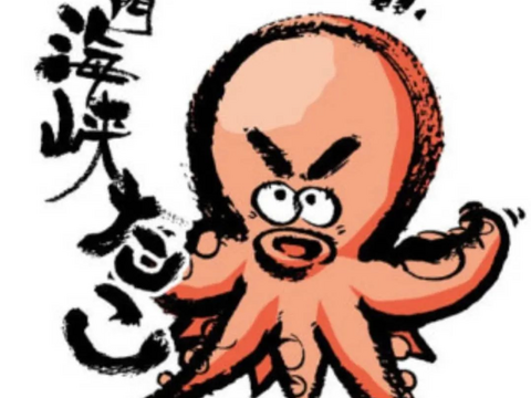 福岡県産【関門海峡たこ】ボイル済　訳ありあり加熱用たこ500g＆水分の多いたこ500g　おでんや煮たこ、たこ焼きやたこ飯に…ご家庭用1kgです