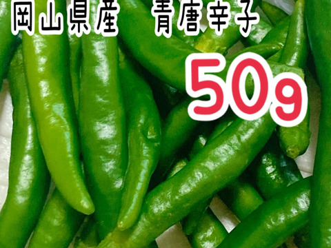 産地直送の採ったその日の唐辛子を50g