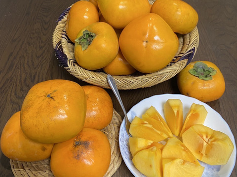 和歌山のあま柿☆平核無柿☆送料無料