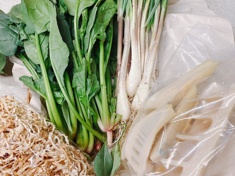 今が旬の野菜 5点セット 新たけのこ水煮 ブロッコリー エシャレット ホウレン草 切干ダイコン 増量 2倍 農薬不使用 すべてに除草剤 防虫剤 殺虫剤等使用していません 埼玉県産 食べチョク 農家 漁師の産直ネット通販 旬の食材を生産者直送