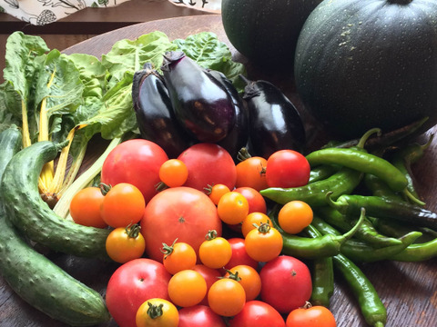 【自然栽培】旬のおまかせ野菜セット｜6～7品目★農薬・肥料不使用