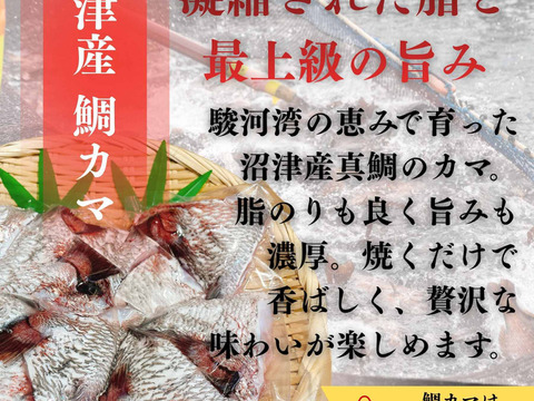 【母の日ギフト】【沼津 鯛 カマ 800g】＆【紅鮭 切り身 700g】食べ比べセット