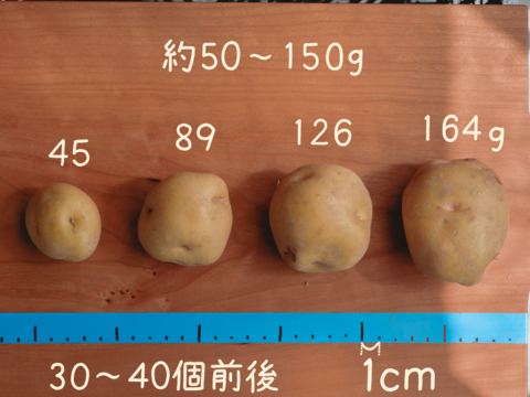 静岡県産 有機新じゃがいも3kg きたあかり