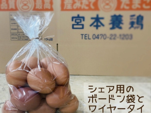 食欲の秋到来‼　ボリューム満点　秋タマゴ×40個‼