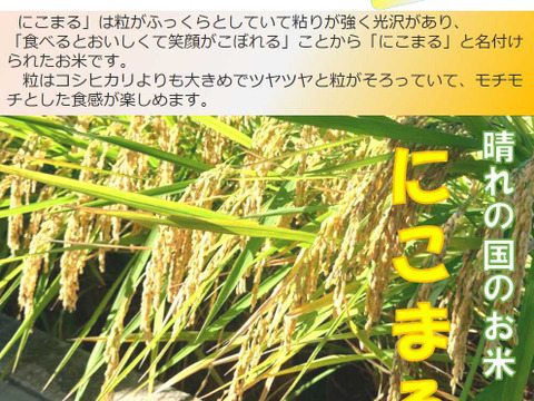 ３種食べ比べセット！キヌムスメ・にこまる・ミルキークイーン 2026年産「岡山県産お米」２kg×３個セット