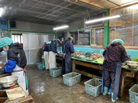 【予約商品】11月1日以降到着指定可能、または順次お届け
【生食用】三重県産 殻付き 浦村かき 50個セット (約5.5ｋg前後）（3～8人前）
真牡蠣 生牡蠣 牡蠣 カキ かき 貝類 海鮮 BBQ