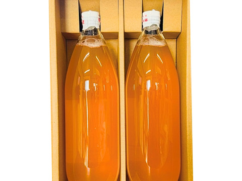 《自家用・限定20箱》山形県東根市産 ふじ100% りんごジュース（ストレート）1,000mL×2本